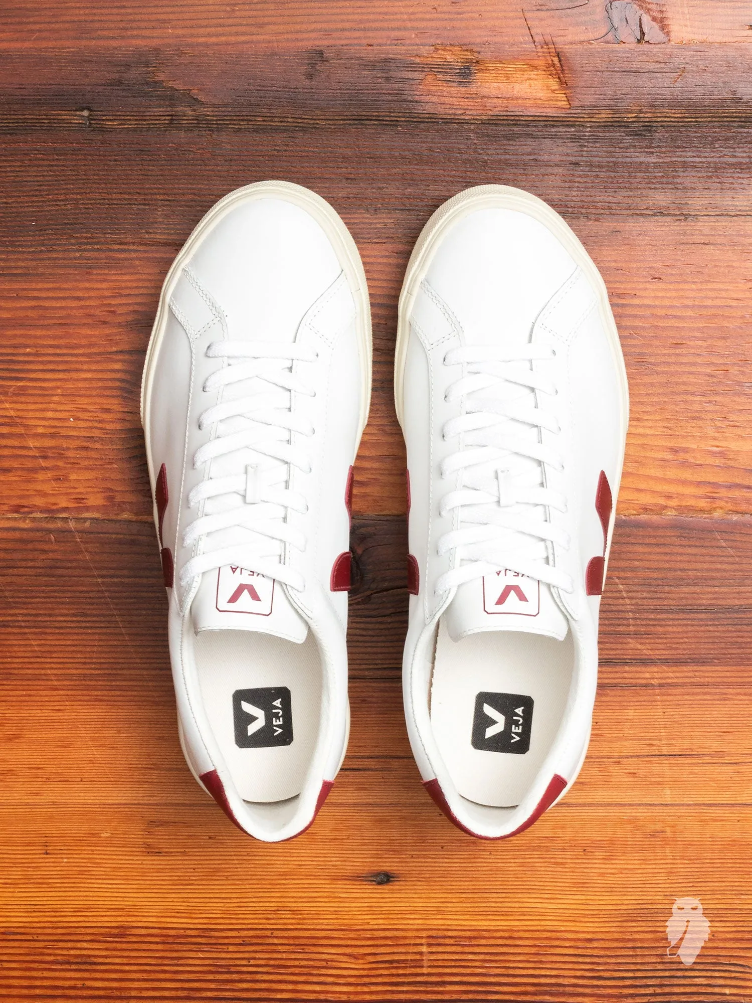 Esplar Sneaker in Extra White Marsala