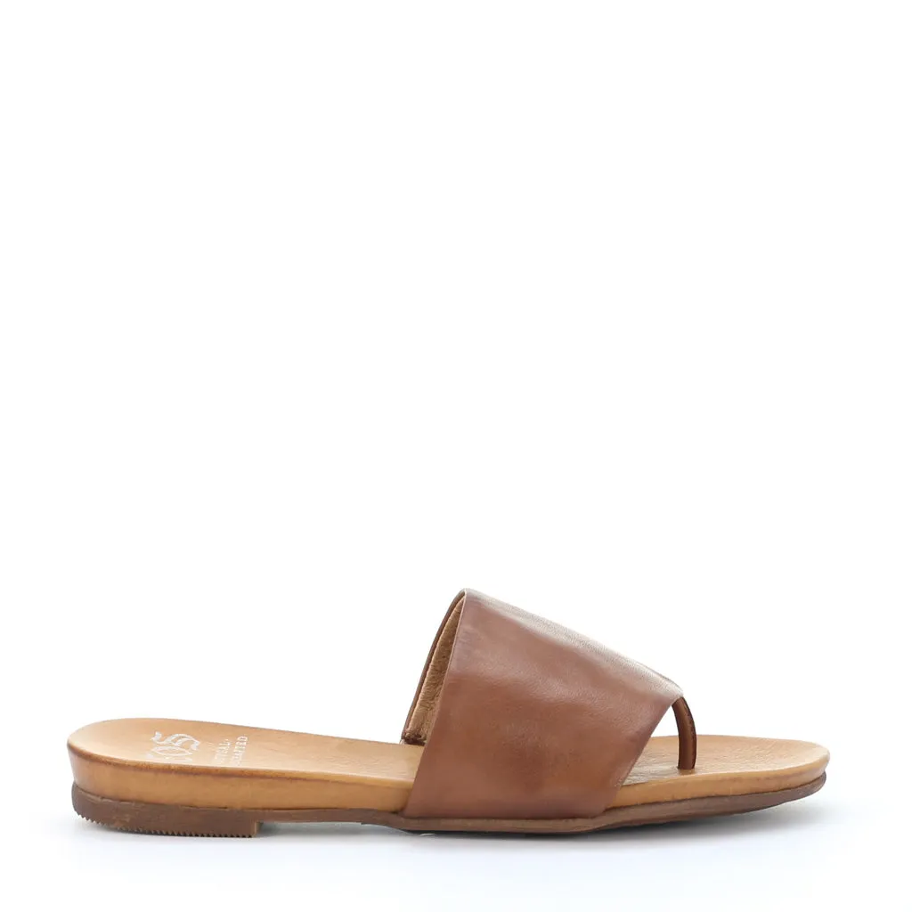 Last Leather Slides