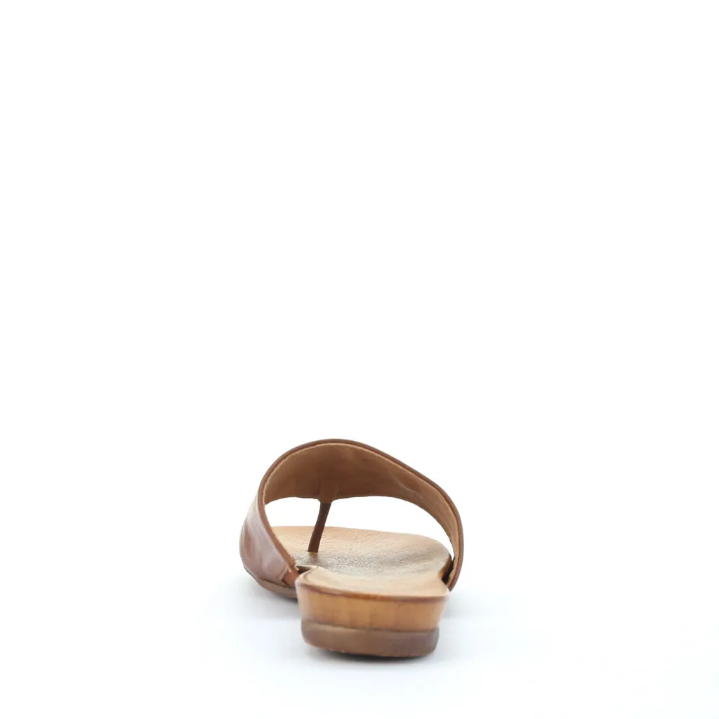 Last Leather Slides