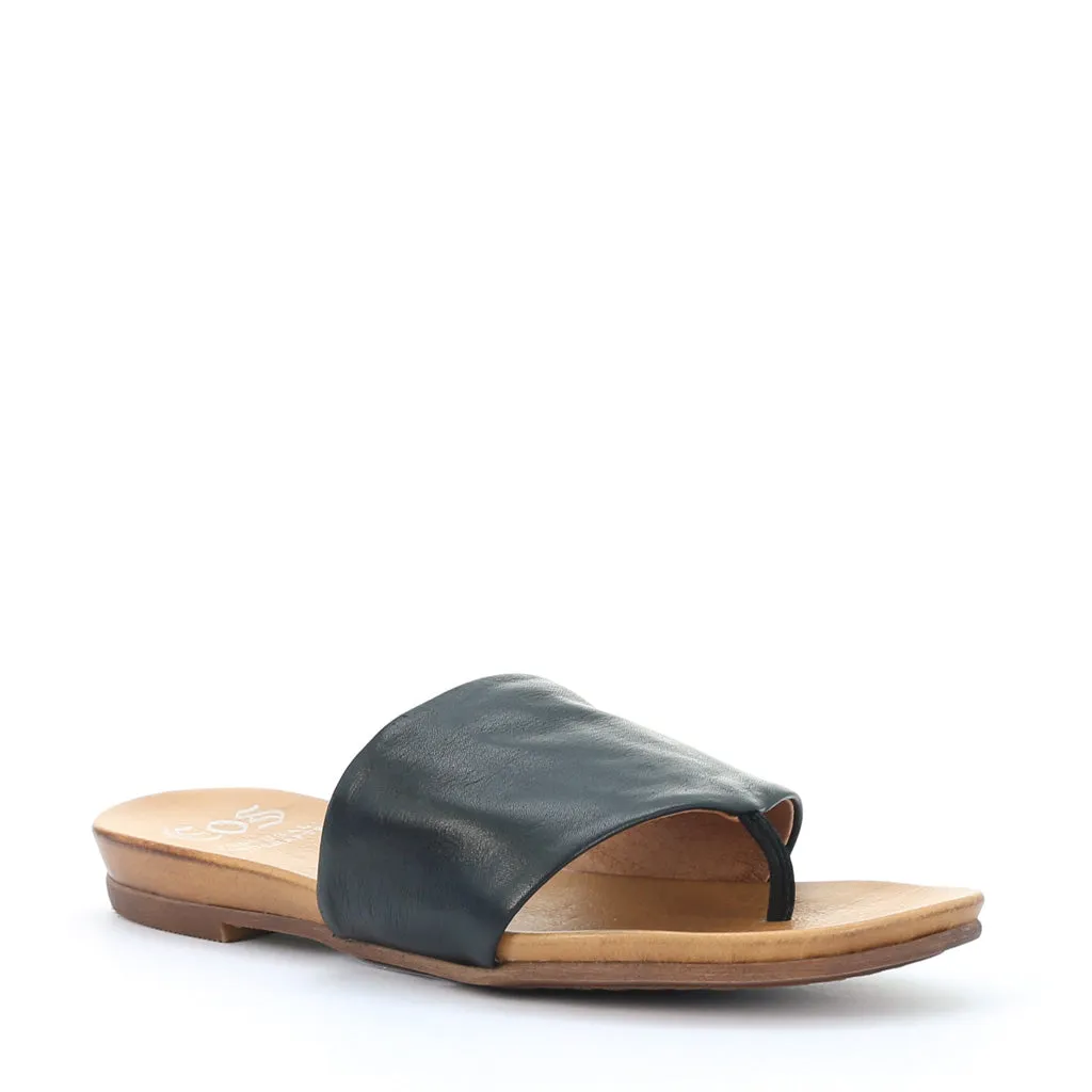 Last Leather Slides