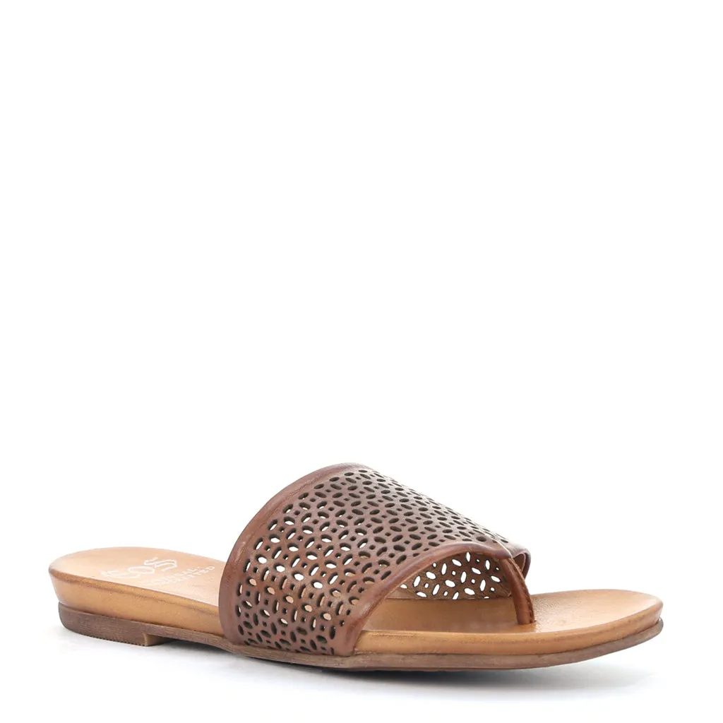 Last Leather Slides